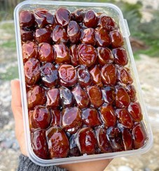 تصویر 4 از خرما کبکاب تازه و سوپر گوشتی با طعم طبیعی و بی‌ نظیر